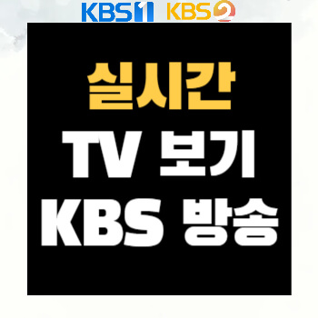 실시간 TV 보기 KBS 방송